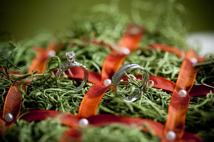 Homestead Meadows Wedding