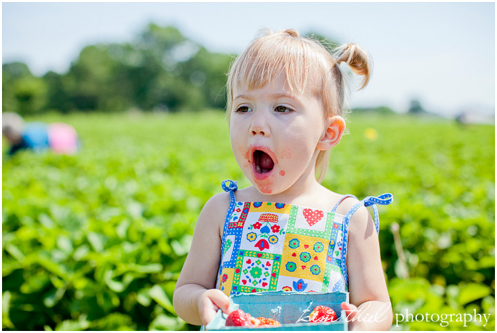 wisconsin-strawberry-pick-kim-thiel_16