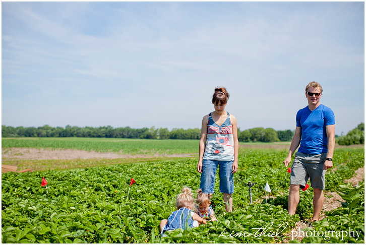 wisconsin-strawberry-pick-kim-thiel_21