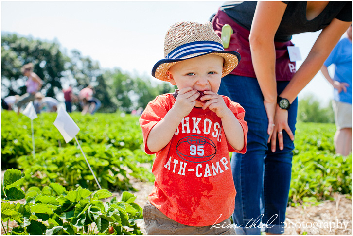 wisconsin-strawberry-pick-kim-thiel_25