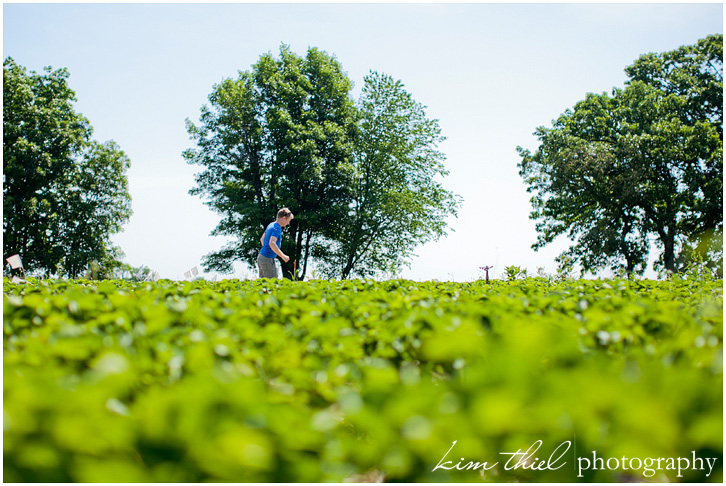wisconsin-strawberry-pick-kim-thiel_33