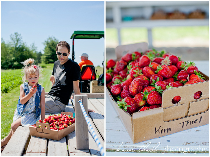 wisconsin-strawberry-pick-kim-thiel_37