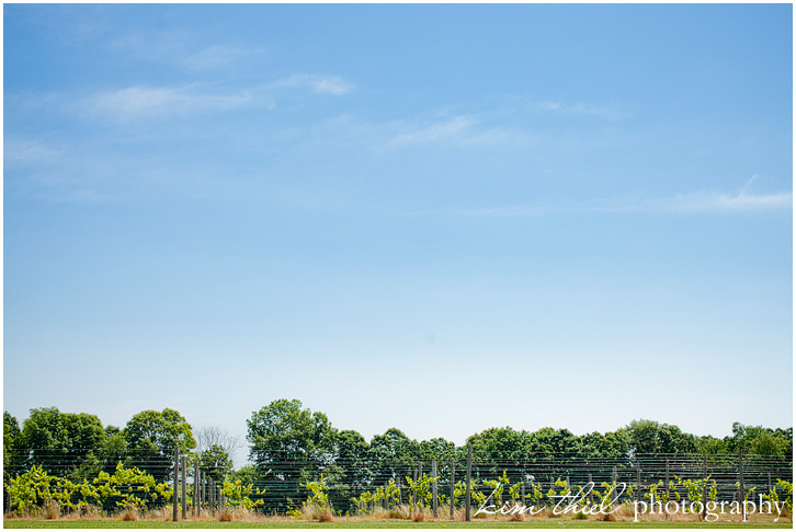 wisconsin-vinyards-winery-kim-thiel_41
