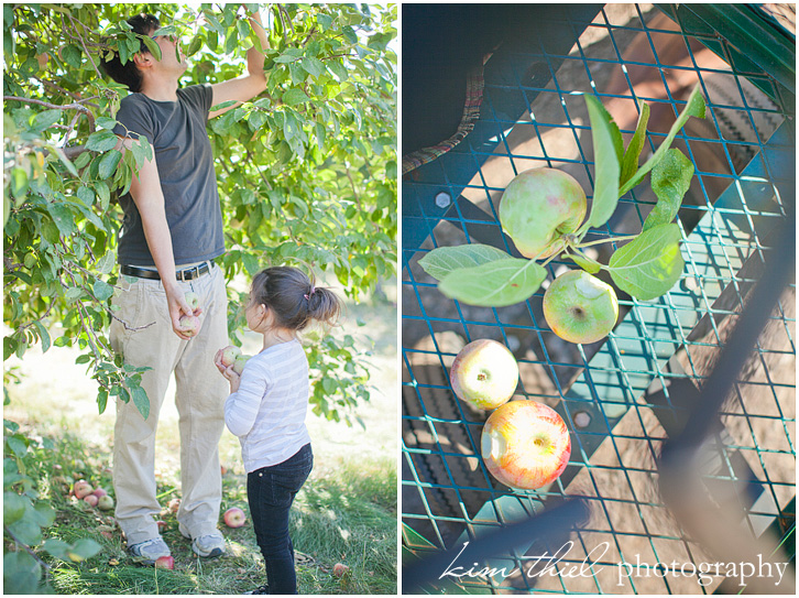 01_wisconsin-family-photography-apple-orchard-kim-thiel