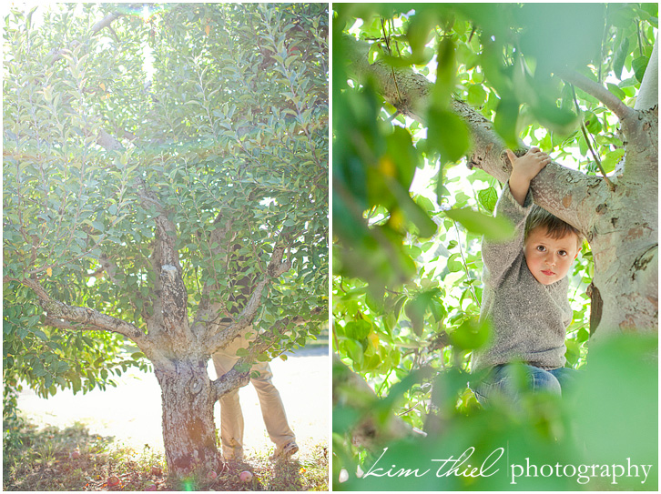 02_wisconsin-family-photography-apple-orchard-kim-thiel