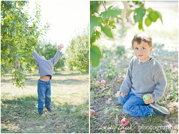 05_wisconsin-family-photography-apple-orchard-kim-thiel