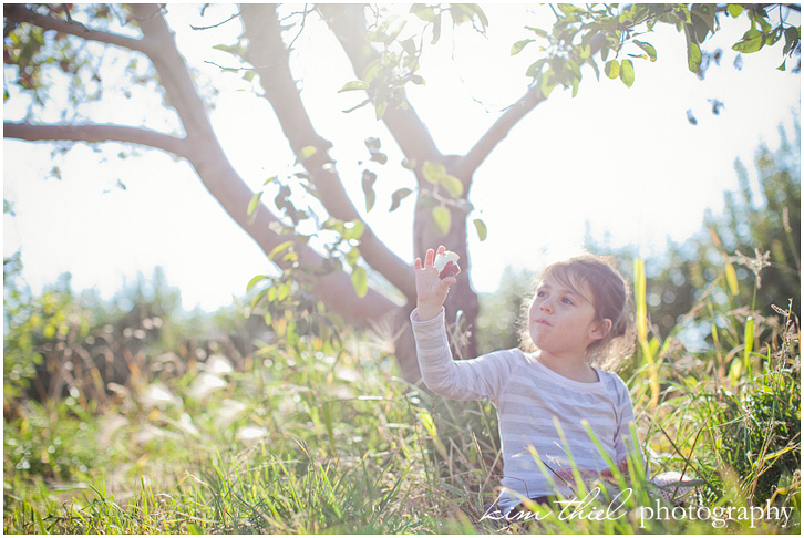 09_wisconsin-family-photography-apple-orchard-kim-thiel