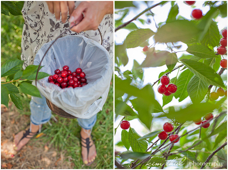 09_door-county-cherry_kim-thiel-photography