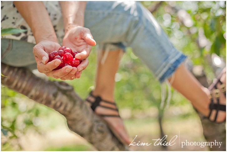 10_door-county-cherry_kim-thiel-photography